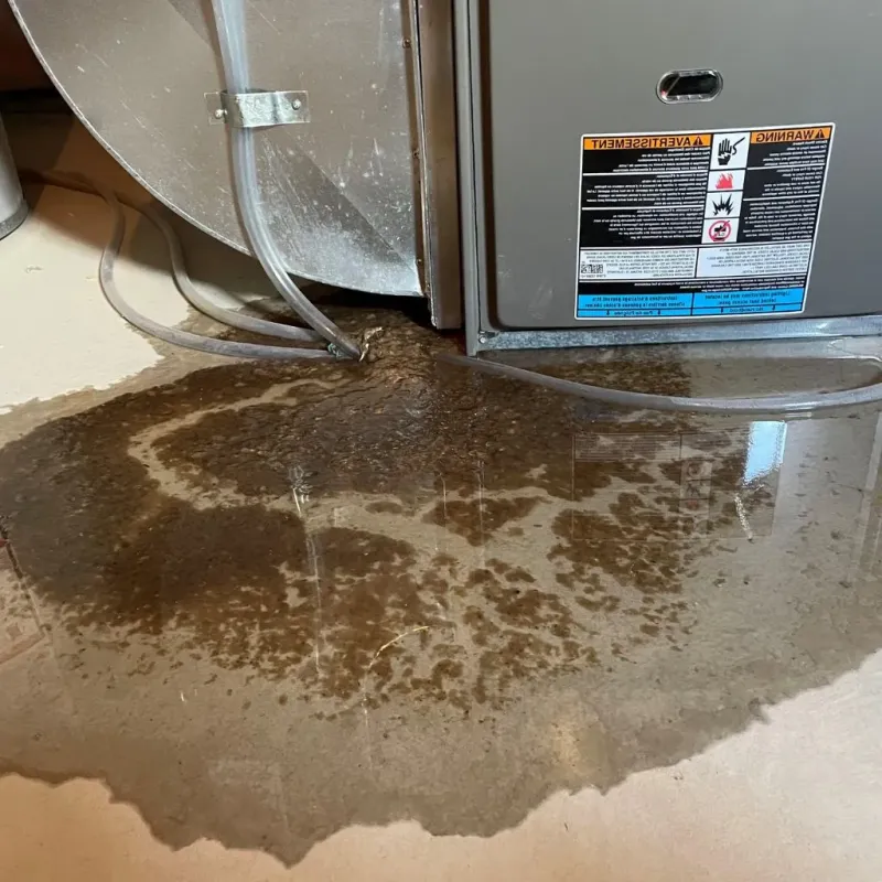 Pipe Burst and Leak Restoration in Comstock Park, MI